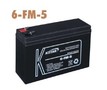 科士达蓄电池6-FM-5